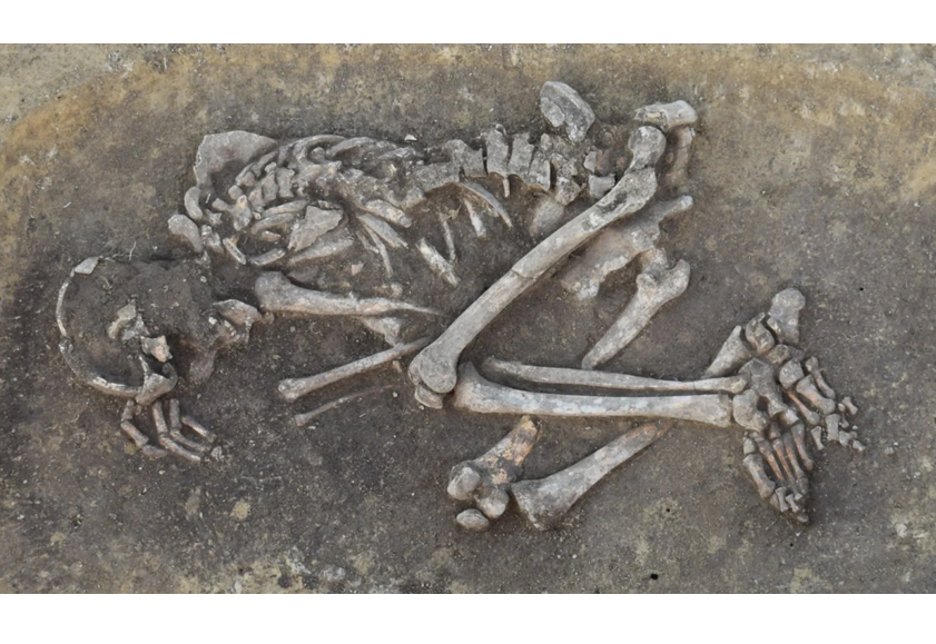 Das Grab eines vor rund 4.000 Jahren an der Pest verstorbenen Mannes im Alter von 22–27 Jahren aus dem Gräberfeld in Drasenhofen.